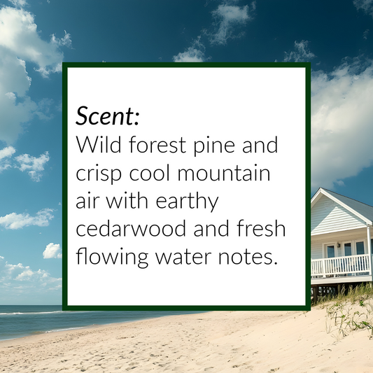 Beach Stone Wax Melts