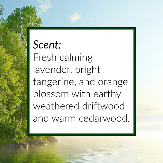Scenic view of a lake with trees and a clear sky, overlaid with text describing scents for timeless bloom obsidian topped Wax melts.